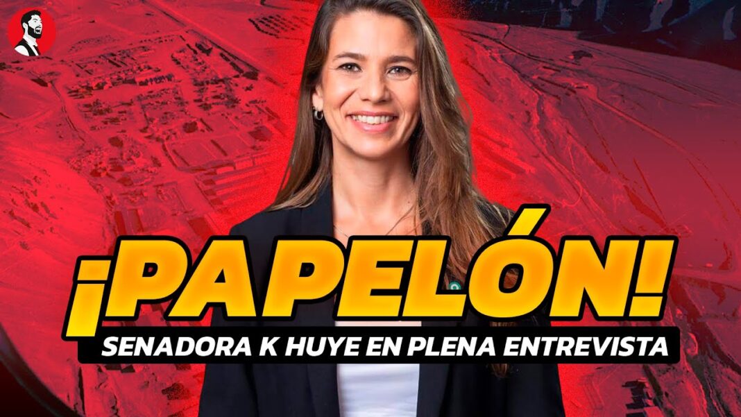 ¡VERGONZOSO! | Senadora K ESCAPÓ DE UNA ENTREVISTA cuando no supo responder sobre la Ley de Bases